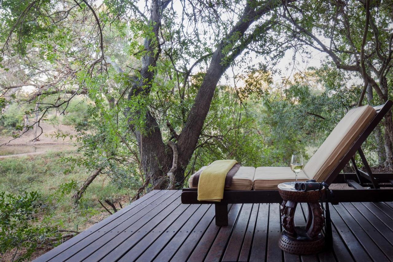 Serondella Safari Lodge Domaine de chasse de Thornybush Extérieur photo